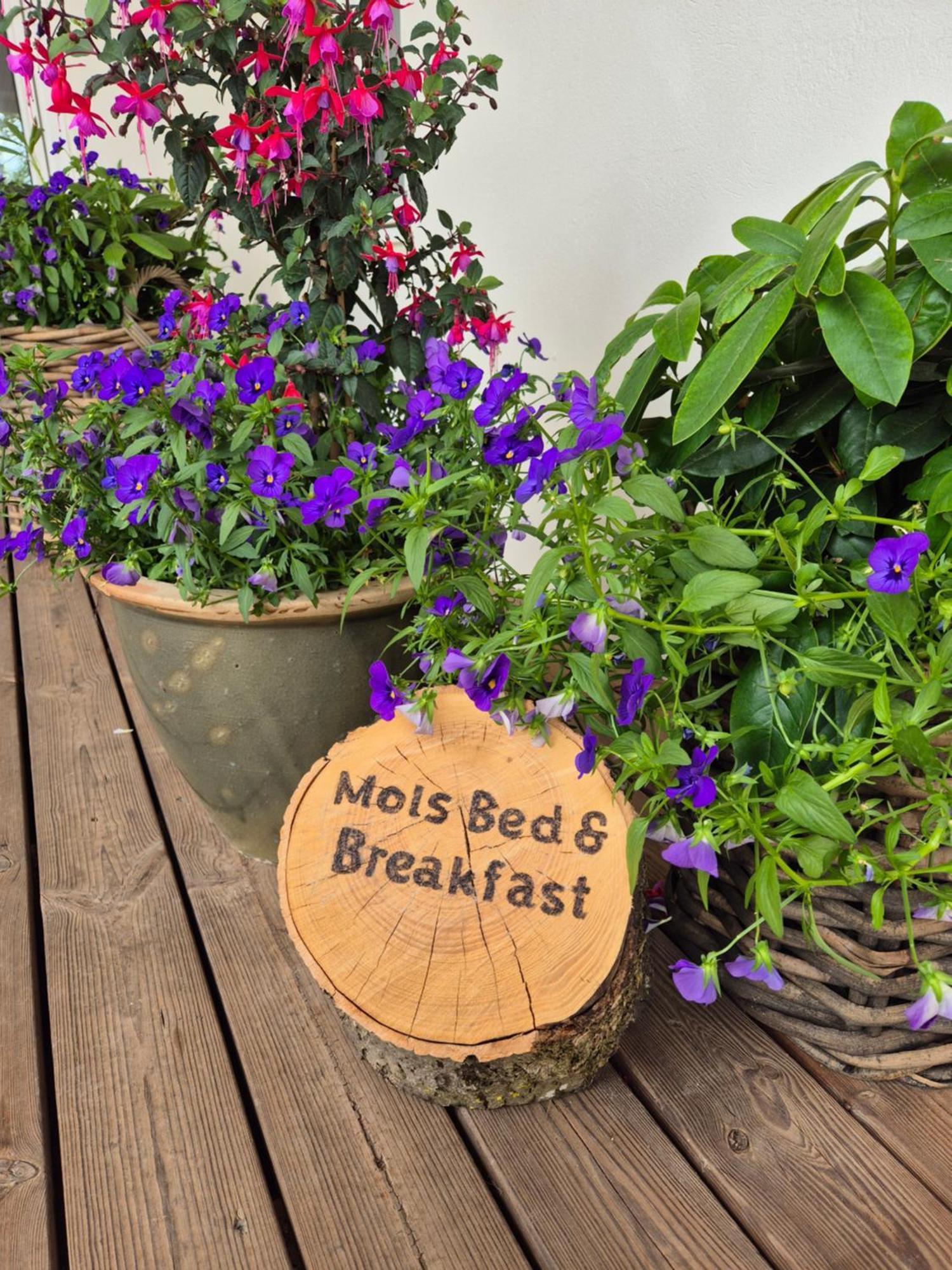 Mols Bed & Breakfast 克内贝尔 外观 照片